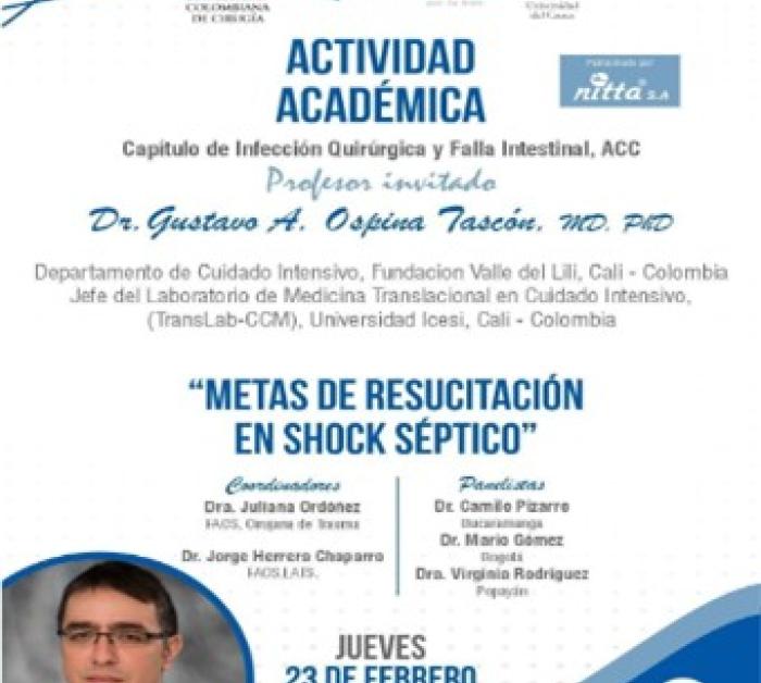 Metas de resucitación en shock séptico